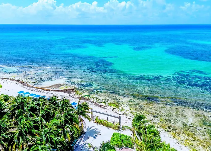 Apartment Rooftop Pool, Quiet Sunrises, 1Br 2Br Duplex Sleeps 2-8, 3 Blue Flag Beaches 15 Min, 5Th Ave 10 Min, Chedraui Grocery 15 Min, Cenotes 20 Min, Full Kitchen Fast Wifi Ac, Elevator
