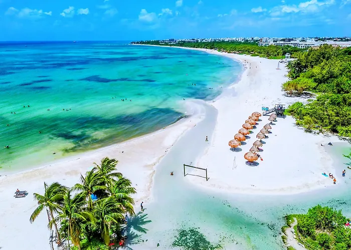 Rooftop Pool, Quiet Sunrises, 1Br 2Br Duplex Sleeps 2-8, 3 Blue Flag Beaches 15 Min, 5Th Ave 10 Min, Chedraui Grocery 15 Min, Cenotes 20 Min, Full Kitchen Fast Wifi Ac, Elevator