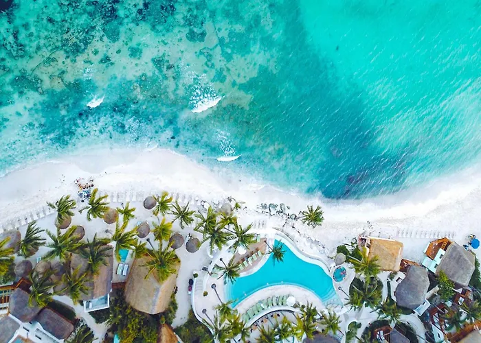 Rooftop Pool, Quiet Sunrises, 1Br 2Br Duplex Sleeps 2-8, 3 Blue Flag Beaches 15 Min, 5Th Ave 10 Min, Chedraui Grocery 15 Min, Cenotes 20 Min, Full Kitchen Fast Wifi Ac, Elevator Playa del Carmen