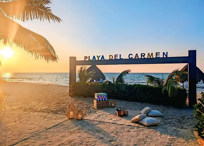 Quiet Mornings, 1br 2br Duplex, 3 Blue Flag Beaches 15 Min, Sleeps 2-8, Rooftop Pool, Full Induction Kitchen Wifi Ac Elevator, 5th Ave & Grocery 10 Min, Cenotes 20 Min, Ado Bus & Cozumel Ferry 20 Min, Free Street Parking *