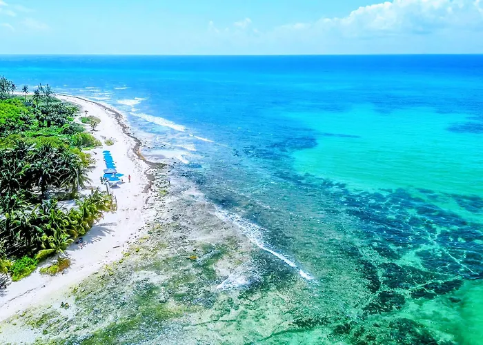 Rooftop Pool, Quiet Sunrises, 1Br 2Br Duplex Sleeps 2-8, 3 Blue Flag Beaches 15 Min, 5Th Ave 10 Min, Chedraui Grocery 15 Min, Cenotes 20 Min, Full Kitchen Fast Wifi Ac, Elevator * Playa del Carmen