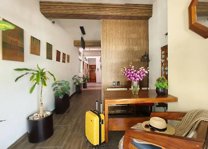 Quiet Mornings, 1br 2br Duplex, 3 Blue Flag Beaches 15 Min, Sleeps 2-8, Rooftop Pool, Full Induction Kitchen Wifi Ac Elevator, 5th Ave & Grocery 10 Min, Cenotes 20 Min, Ado Bus & Cozumel Ferry 20 Min, Free Street Parking