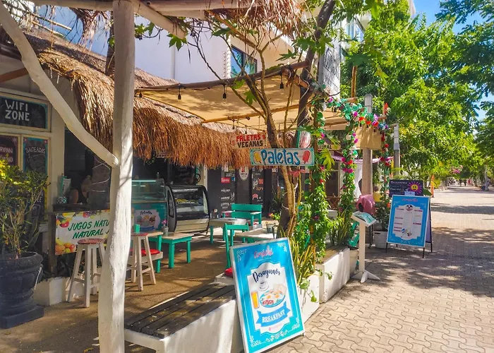 Quiet Mornings, 1br 2br Duplex, 3 Blue Flag Beaches 15 Min, Sleeps 2-8, Rooftop Pool, Full Induction Kitchen Wifi Ac Elevator, 5th Ave & Grocery 10 Min, Cenotes 20 Min, Ado Bus & Cozumel Ferry 20 Min, Free Street Parking