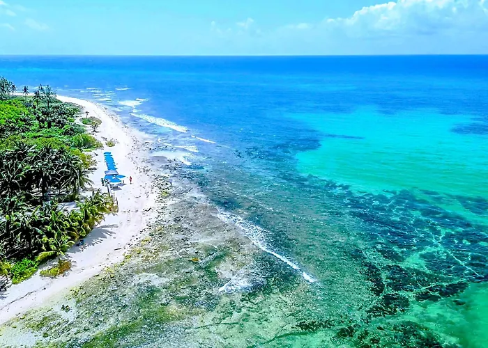 Quiet Mornings, 1br 2br Duplex, 3 Blue Flag Beaches 15 Min, Sleeps 2-8, Rooftop Pool, Full Induction Kitchen Wifi Ac Elevator, 5th Ave & Grocery 10 Min, Cenotes 20 Min, Ado Bus & Cozumel Ferry 20 Min, Free Street Parking Appartement Playa del Carmen